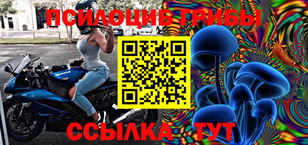 Псилоцибиновые грибы Psilocybe  Вход с VPN  Ревда  хочу наркоту  Псилоцибиновые грибы Psilocybe 