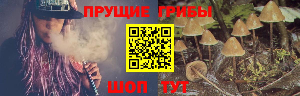 Псилоцибиновые грибы Magic Shrooms Ревда